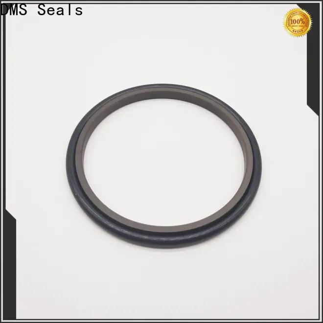 DMS Seals axle seal manufacturers supply for piston and hydraulic cylinder 1