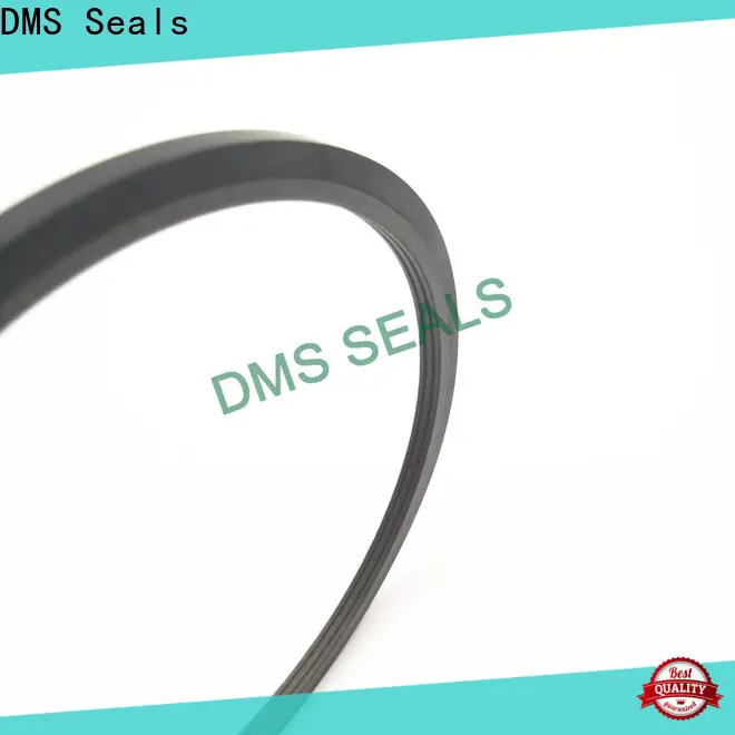 Buy bottle seal manufacturers manufacturer for larger piston clearance 1