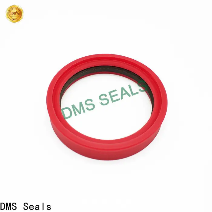 DMS Seals seal kit manufacturer for sale for larger piston clearance 1