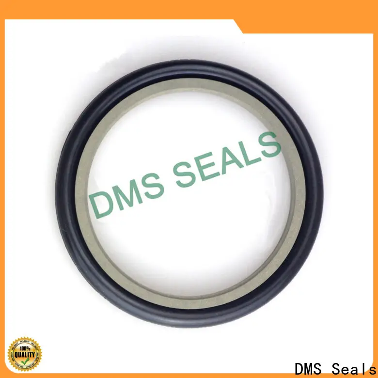 DMS Seals Best meter seals suppliers company for piston and hydraulic cylinder 1