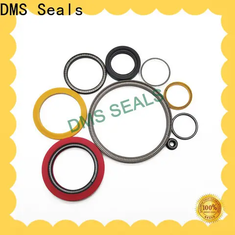 Bulk buy spring energised seal supplier for fracturing 1
