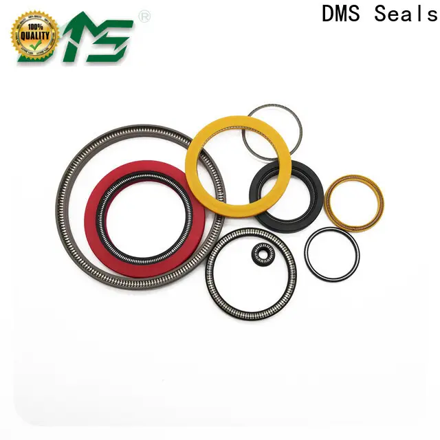 DMS Seals spring energized teflon seals for fracturing 1