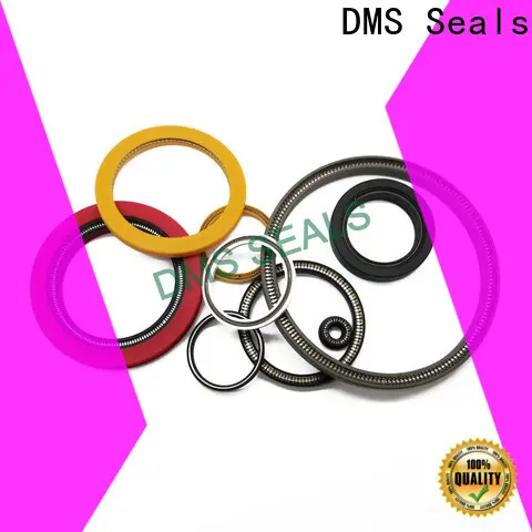 DMS Seals spring energised seal for fracturing 1