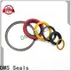 DMS Seals spring energized seals supplier for fracturing 1