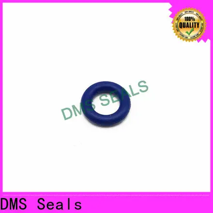 Custom rubber o ring singapore cost in highly aggressive chemical processing 1