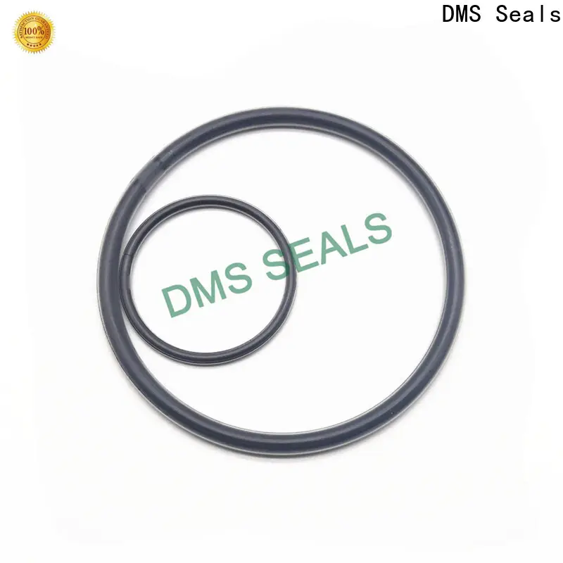 DMS Seals o ring stockist in highly aggressive chemical processing 1