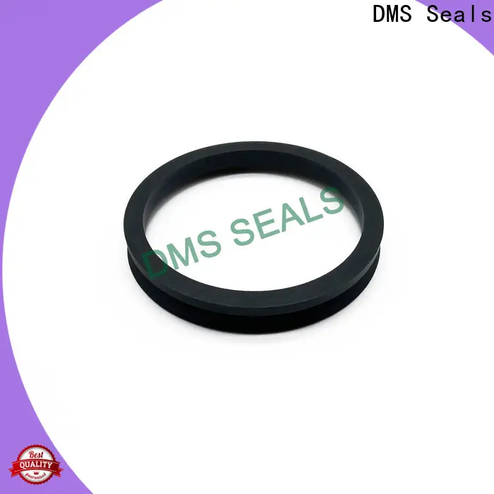 DMS Seals hydraulic cylinder seal kits for sale 1