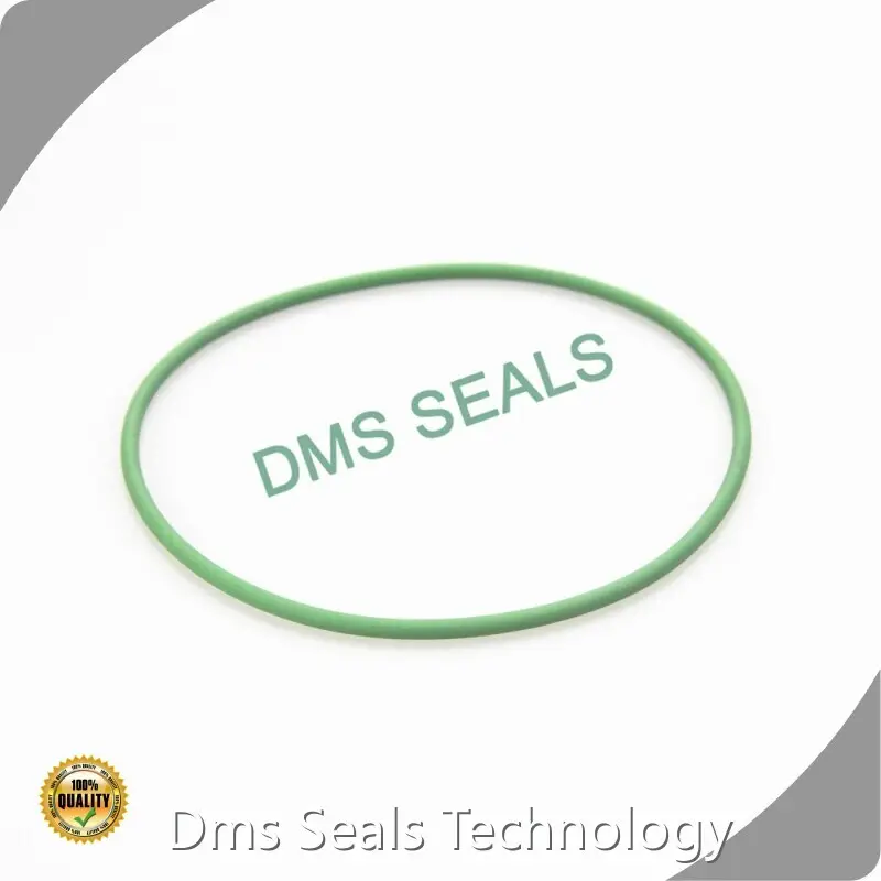 Oil Seal Ring -20℃ +220℃ - - DMS Seals 1
