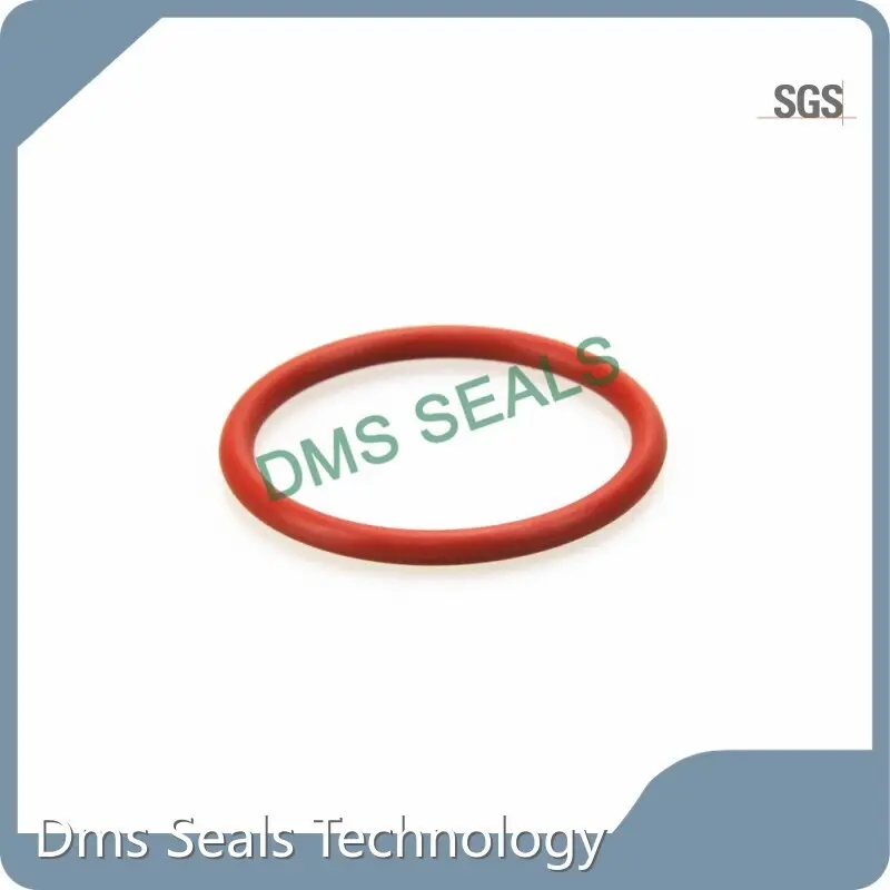 Custom Oil Seal Ring 1
