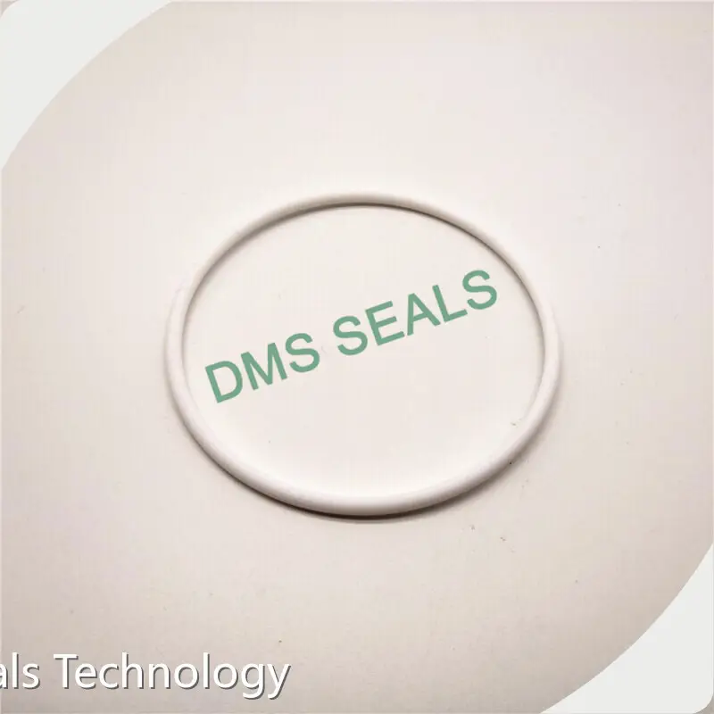DMS Seals O Ring Manufacturers -40℃ +260℃Dealer 1