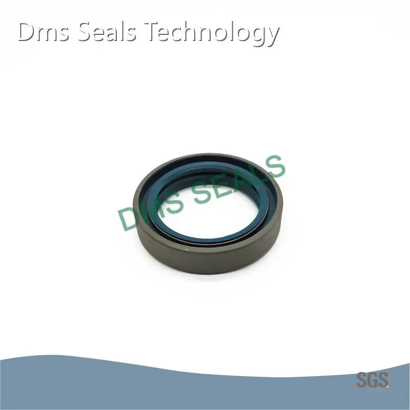 Oil Seal Manufacturer by DMS Seals 1