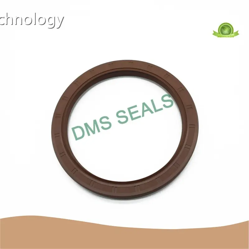 DMS Seals Oil Seals -20℃~200℃Manufacturer 1
