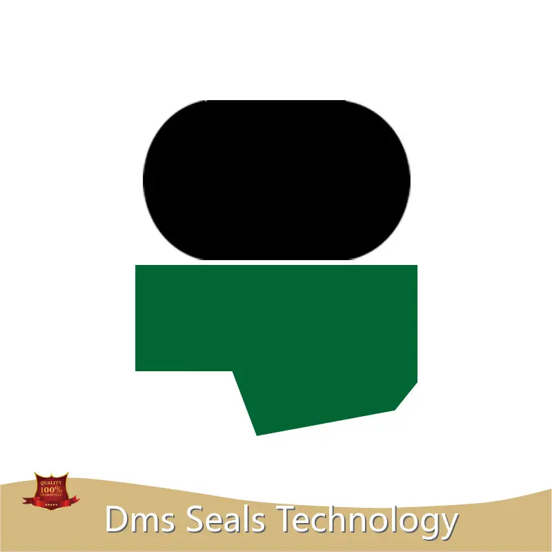 Hydraulic Rod Seals Water by DMS Seals 1