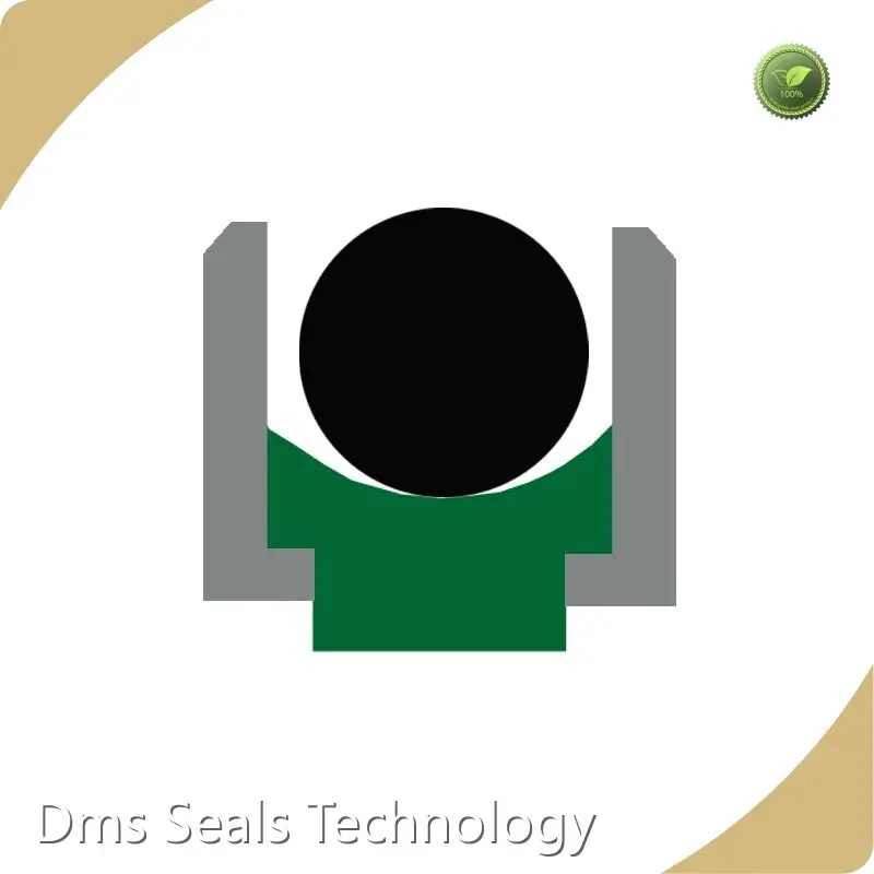 DMS Seals Push Rod Seal 1m/sSolution Provider 1