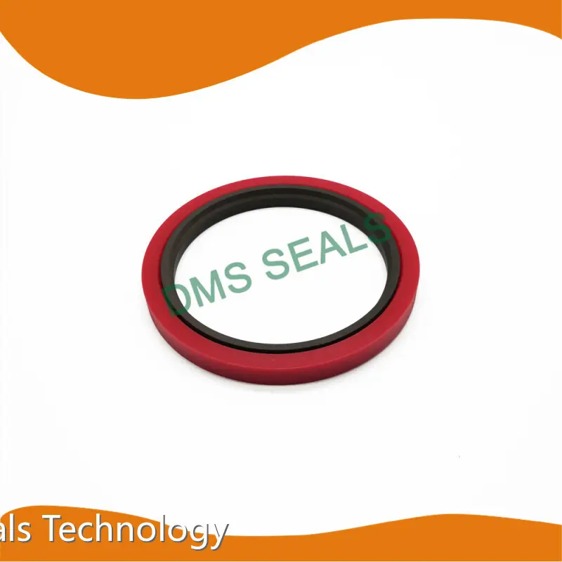 Rubber Seal Design 0-60MPa by DMS Seals 1
