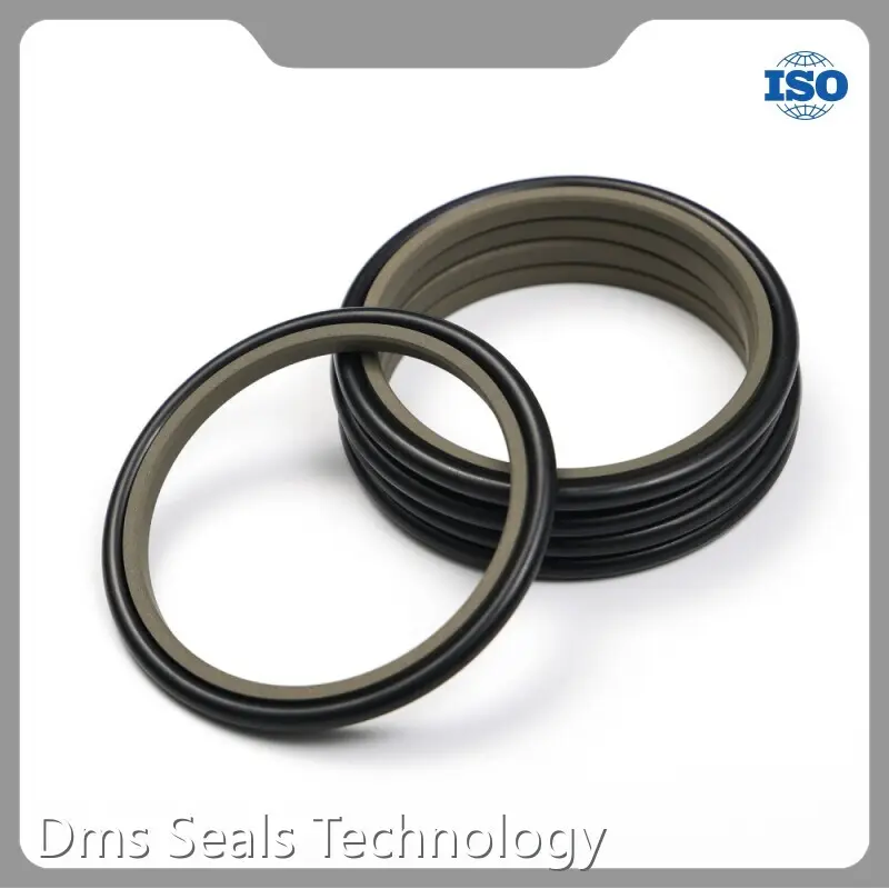 DMS Seals Rod Seal Catalogue -45℃+200℃ Rod Seal CatalogueManufacturer 1