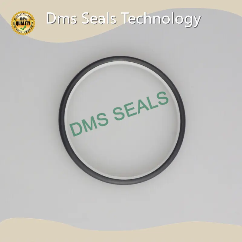 Hydraulic Rod Seals Online Quality Assurance -30℃+200℃ 1