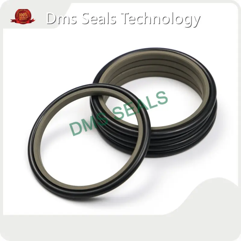 Rod Seals Flameretardantliquid - - DMS Seals 1