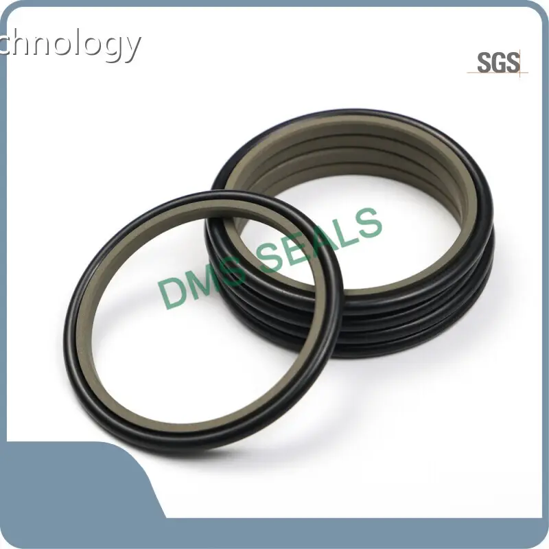 Hydraulic Rod Seals 哦 by DMS Seals 1