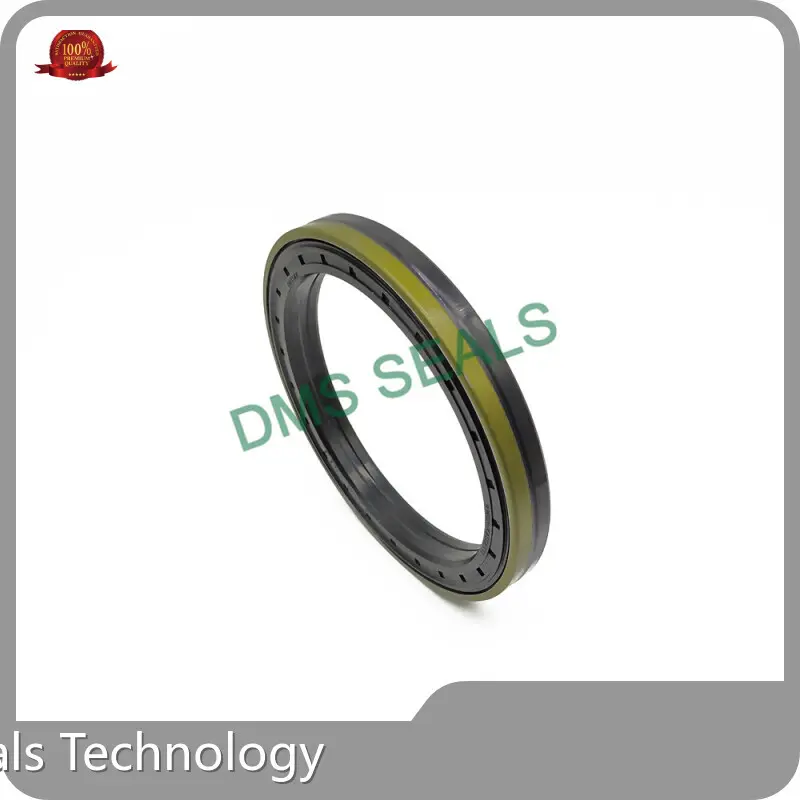 Pneumatic Piston Seals Supplier 1