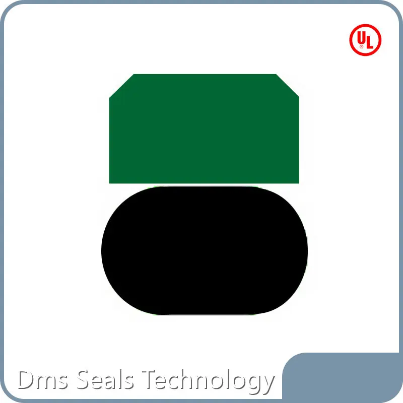 Top Selling Piston Seals Company 1