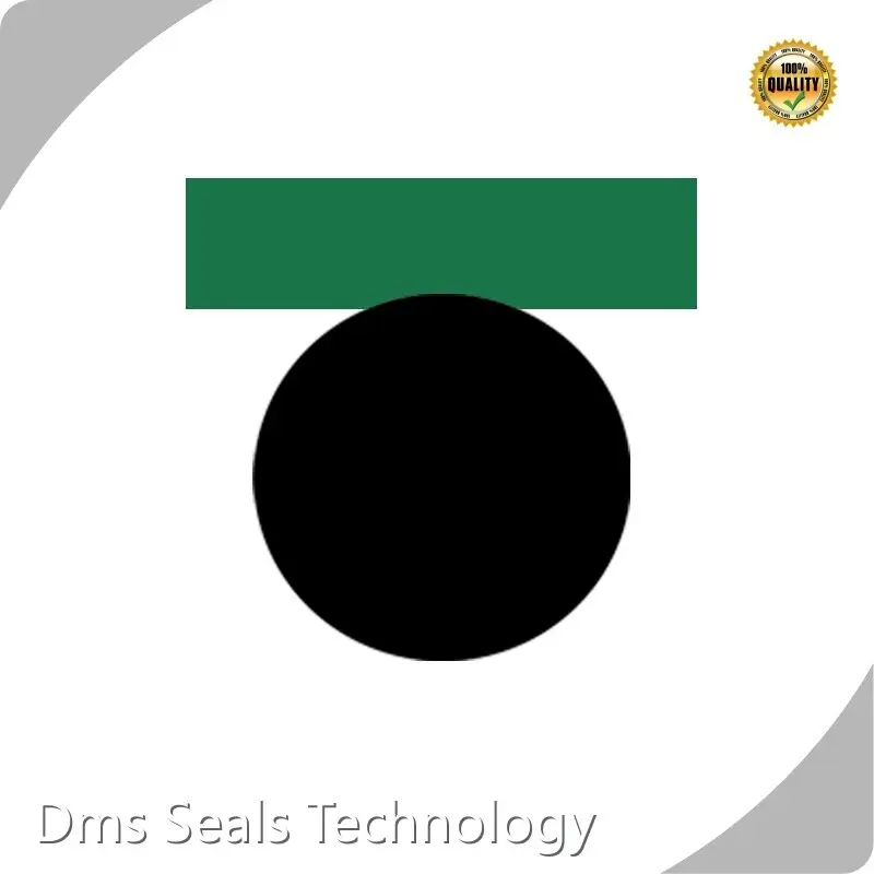 DMS Seals Hydraulic Piston Seals Sizes 3-1600mm Hydraulic Piston Seals SizesMaker 1