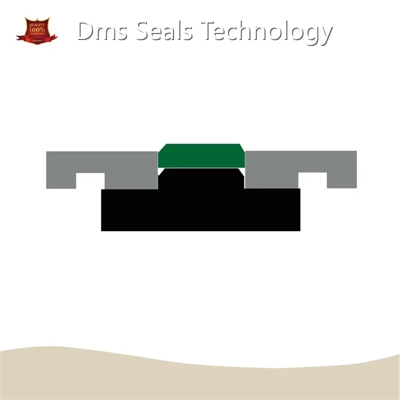 Hydraulic Piston Seals Sizes Factory Direct Supply Hydraulic Oil 1