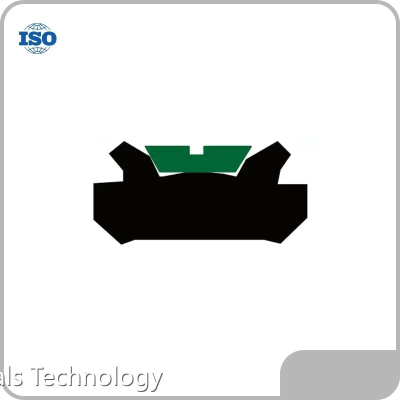 Custom Made Hydraulic Cylinder Piston Seals Hydraulic Cylinder Piston Seals Company 1