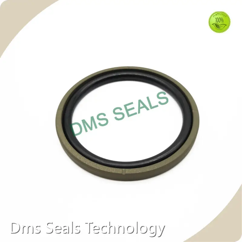 DMS Seals Hydraulic Cylinder Piston Seals 15 M/s Hydraulic Cylinder Piston SealsSupplier 1