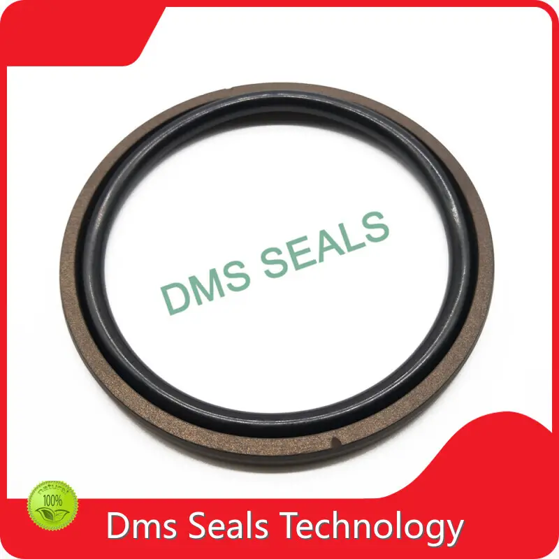 Factory Direct Hydraulic Cylinder Piston Seals Top Brand 1