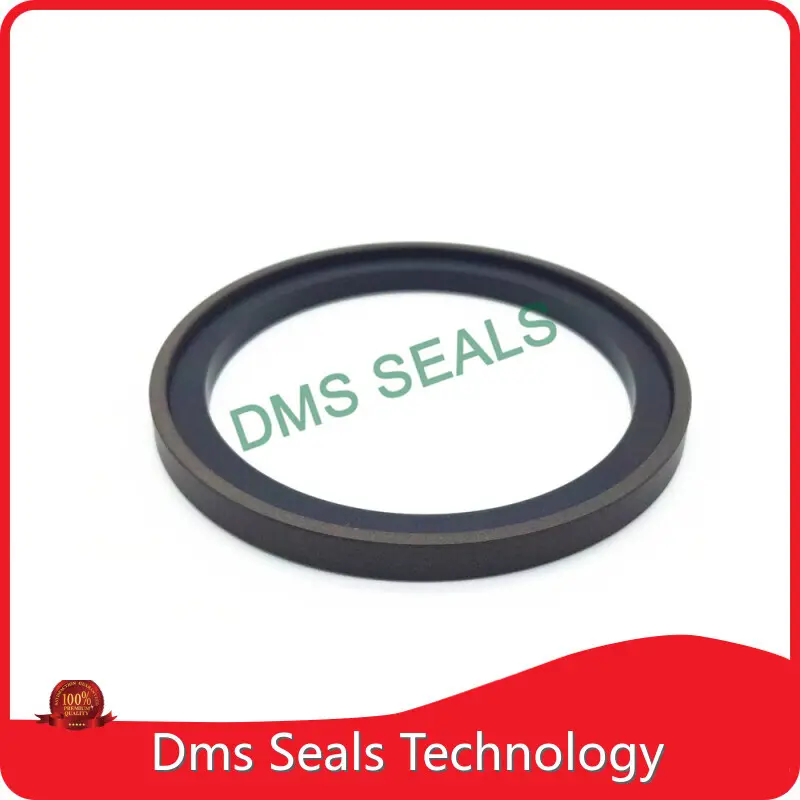 Top Piston Seals 1