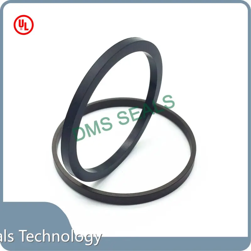 Piston Seals 0－50MPa Wholesale - DMS Seals 1