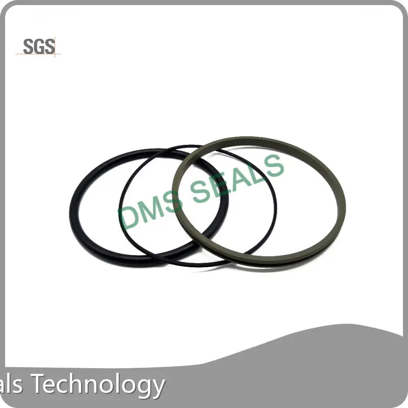 Hydraulic Piston Seals 3-1600mm - - DMS Seals 1