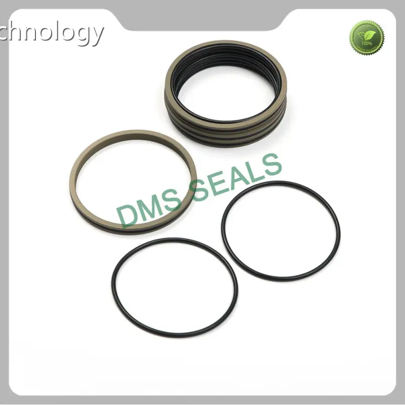 Piston Seals ≤60MPa Wholesale - DMS Seals 1