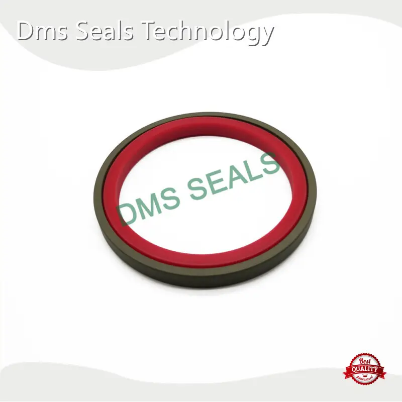 Piston Seals 0-60MPaquality Assurance 1