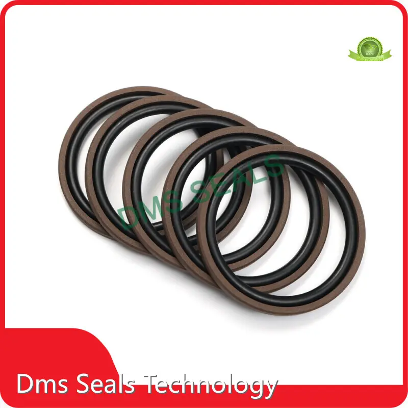 DMS Seals O-ring Seal -45℃+200℃ O-ring SealCompany 1