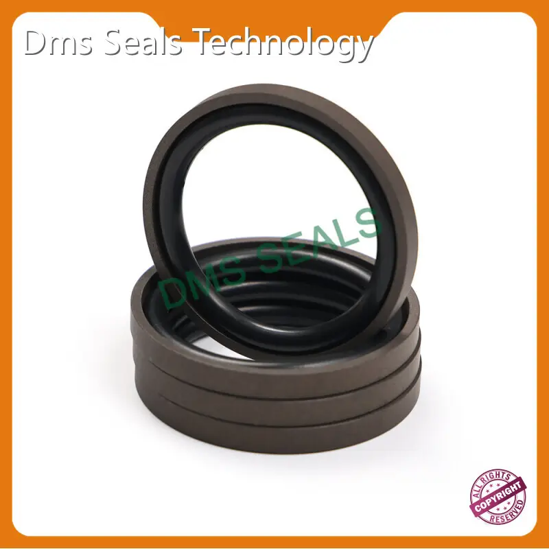Hydraulic Cylinder Piston Seals Top Brand 0-35MPa 1