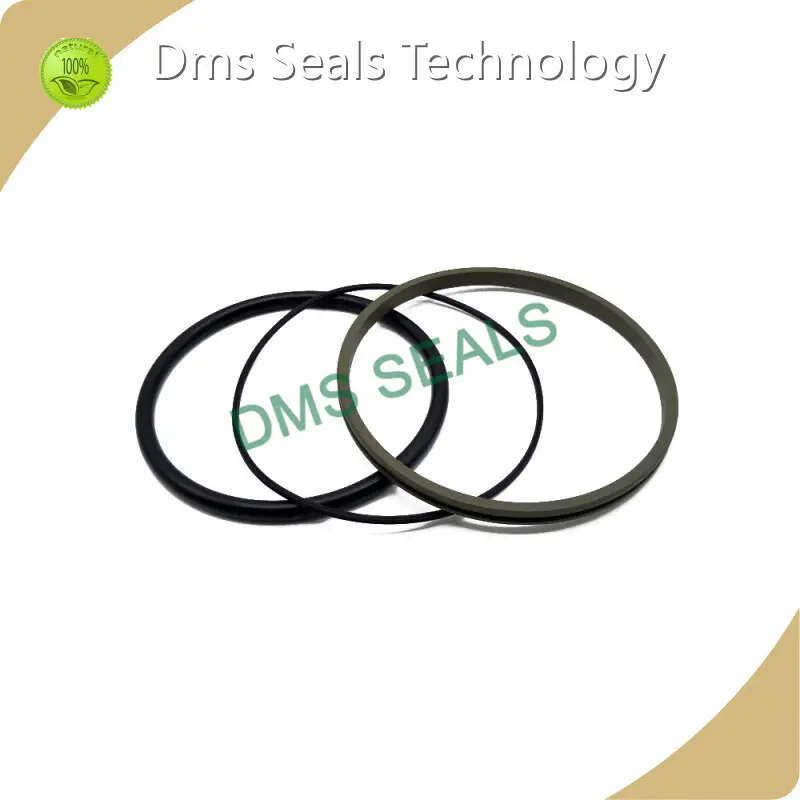 Hydraulic Piston Seals Sizes ≤60MPa - - DMS Seals 1