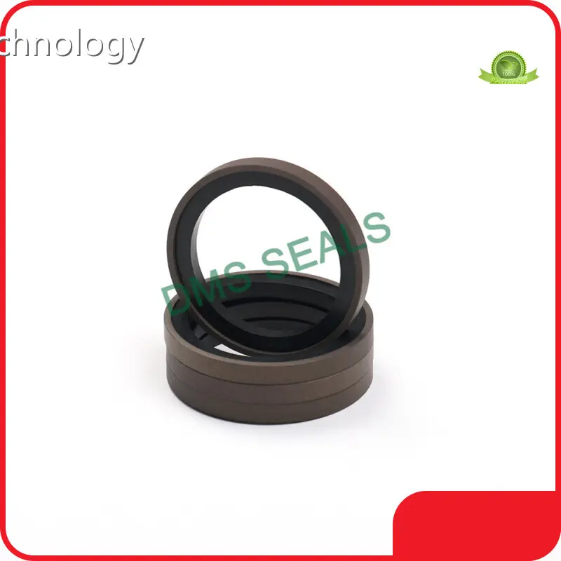 Hydraulic Piston Seals Sizes Gas by DMS Seals 1