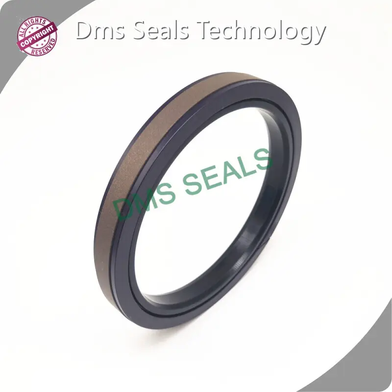 Hydraulic Piston Seals Suppliers -30℃+100℃ Wholesale - DMS Seals 1