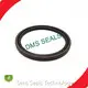Hydraulic Cylinder Piston Seals -30℃+200℃ Wholesale - DMS Seals 1