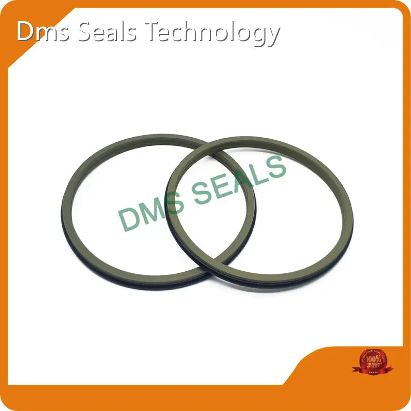 Hydraulic Wiper Seals 5 M/s Wholesale - DMS Seals 1
