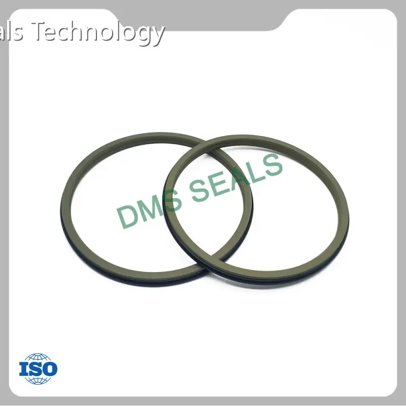 DMS Seals Hydraulic Wiper Seals 3-1600mm Hydraulic Wiper SealsMaker 1