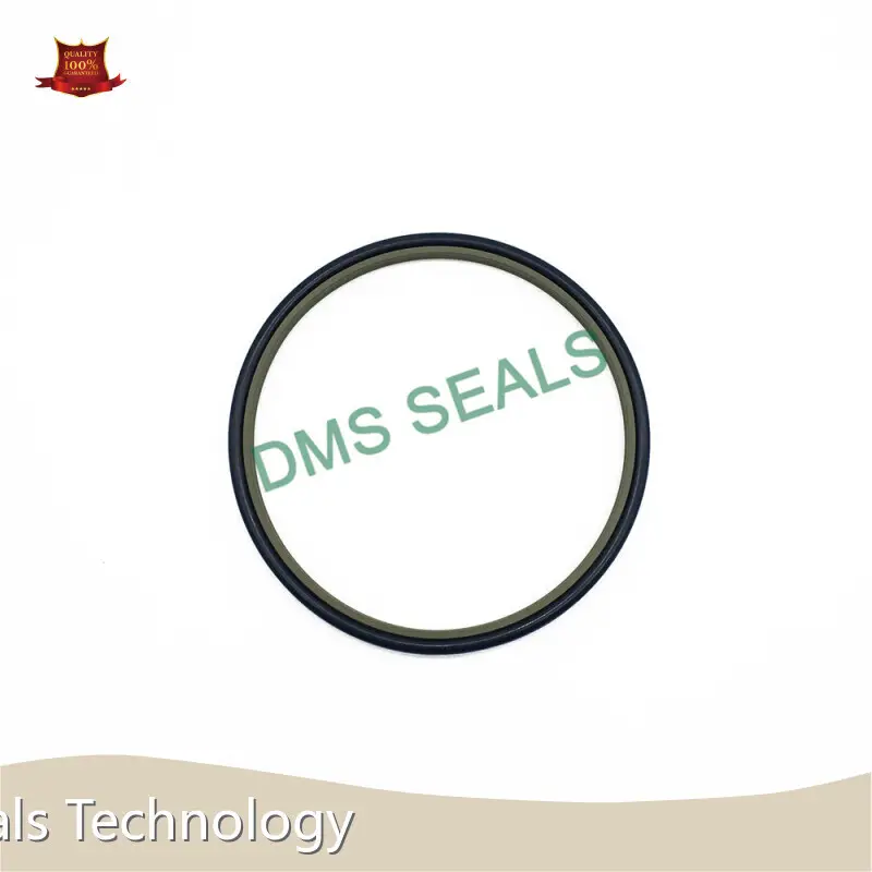 Hydraulic Wiper Seals - by DMS Seals 1