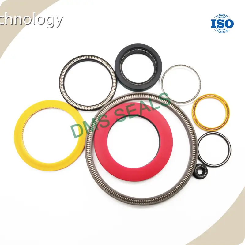 Rubber Seal Design 2m/s Wholesale - DMS Seals 1