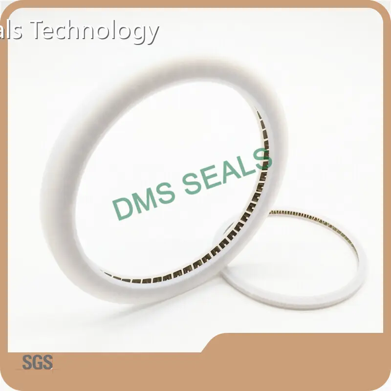 Spring Seals 15m/s - - DMS Seals 1