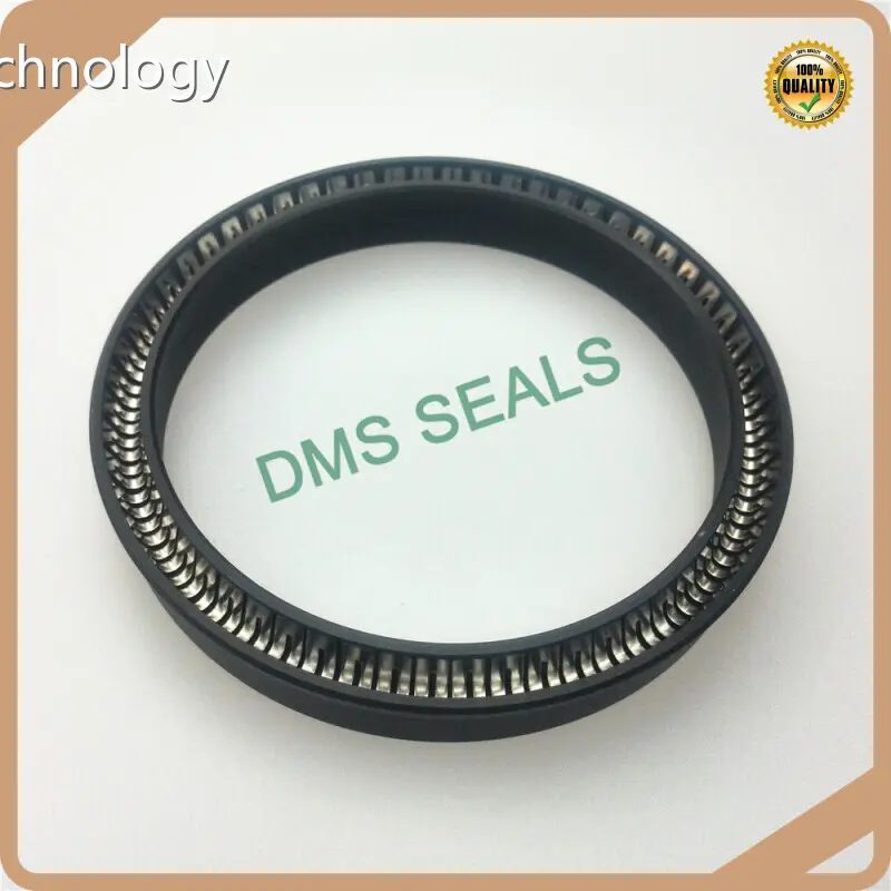 Shaft Oil Seals 15m/s - - DMS Seals 1
