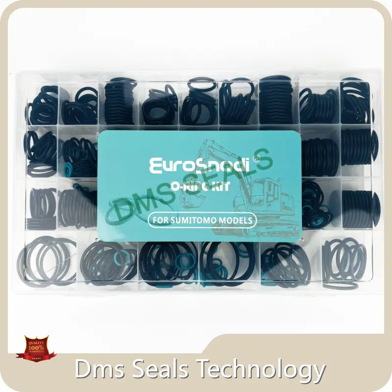 DMS Seals O Ring Set Factory 1