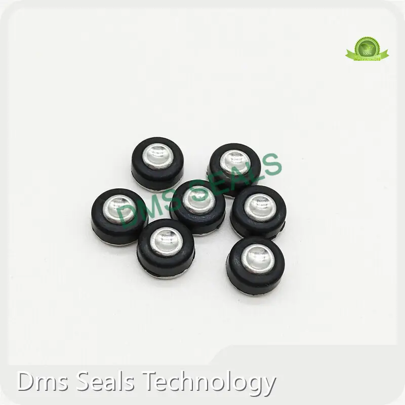 Rubber Seals Gas - - DMS Seals 1