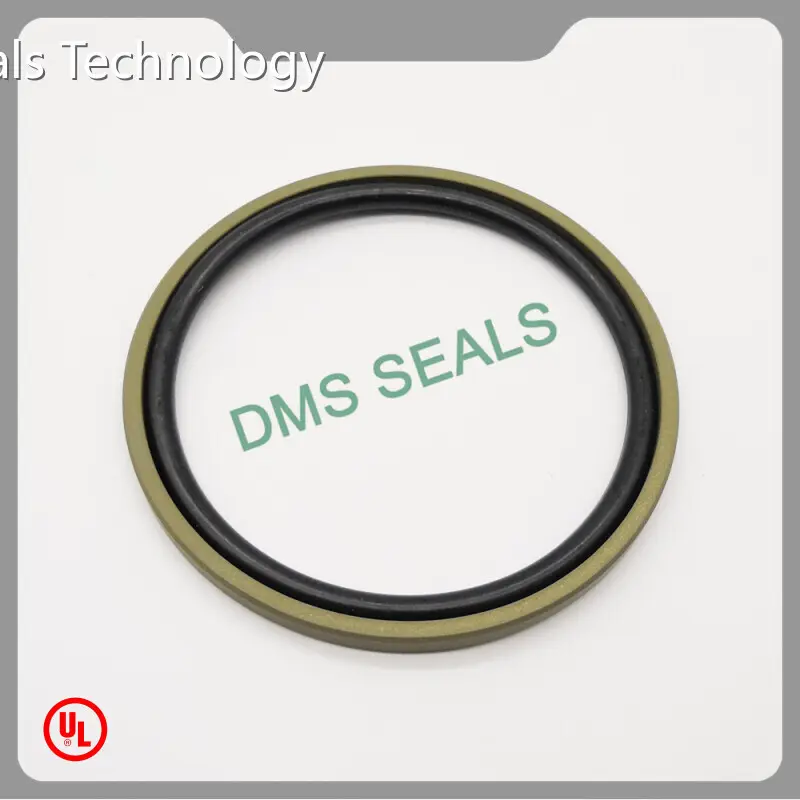 DMS Seals Oil Seal Manufacturers 0-60MPa Oil Seal Manufacturers Factory Price 1